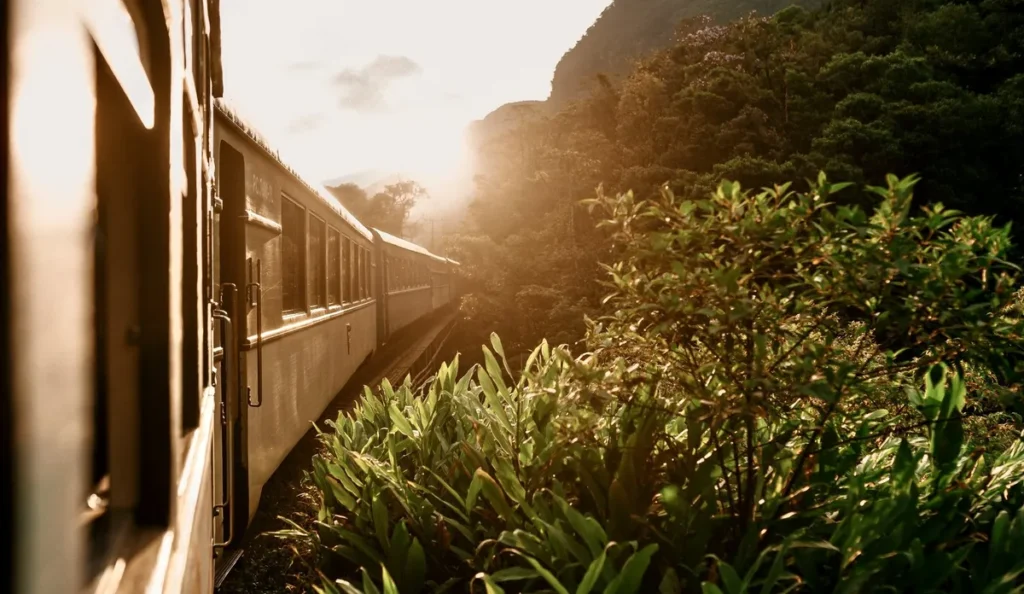 A passenger train travelling through the green Thai countryside during sunrise towards Ubon Ratchathani.