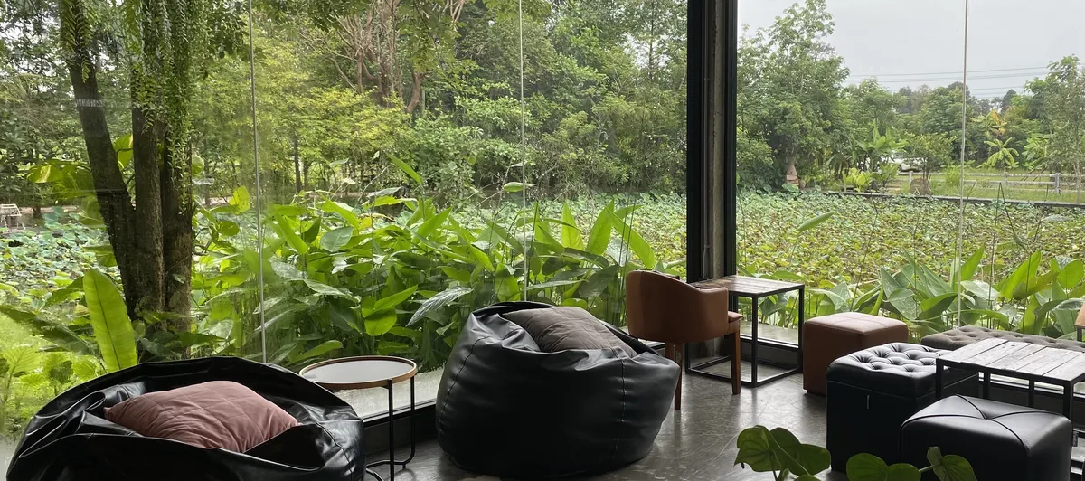 Premium air-conditioned café interior with luxury leather seating overlooking a lush lotus pond in Ubon Ratchathani, Isaan.